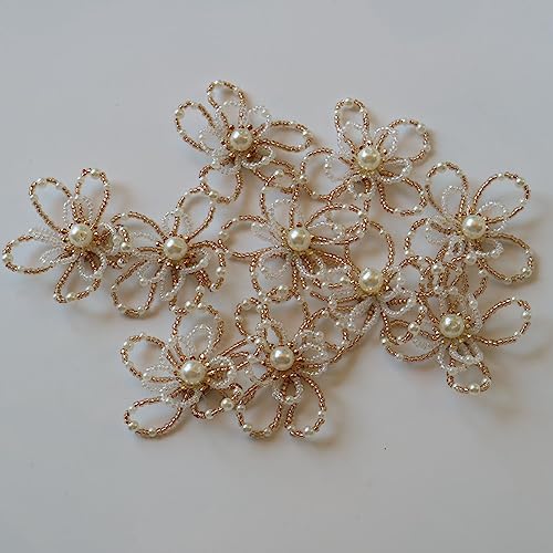 G-RUI 10pc Perlen Blume Applikationen für Kleidung DIY Nähen auf Floral Patches für Kleidung Dekoration Strass parche ropa (Champagner) von G-RUI