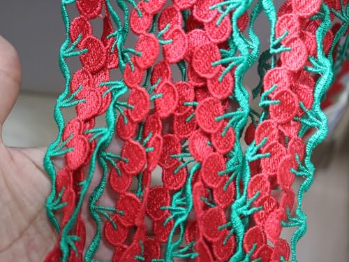 G-RUI Bunte Früchte Stickerei Spitzenband für Kleidung, Dekoration, DIY, Bekleidung, Verzierung, Applikation (12 m, rote Kirsche) von G-RUI