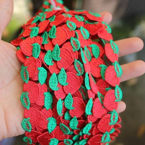 G-RUI Bunte Früchte Stickerei Spitzenband für Kleidung, Dekoration, DIY, Bekleidung, Verzierung, Applikation (12 m, roter Pfirsich) von G-RUI