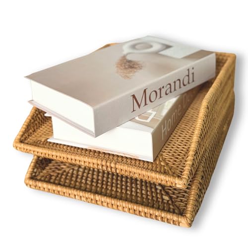 GaiaMade Schreibtisch-Briefablage aus Rattan, dekorativer Papier-Organizer, ästhetisches Korbgeflecht, 35,6 x 26,7 x 8,9 cm, hergestellt in Vietnam, 2 Stück von GAIAMADE