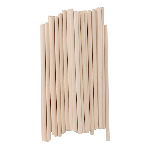 GALPADA 100 Stück DIY Holz Eisstäbchen Naturholz Sticks für Eiscreme Basteln Handwerk Wiederverwendbar Leicht für Kreative Projekte und Familienaktivitäten von GALPADA