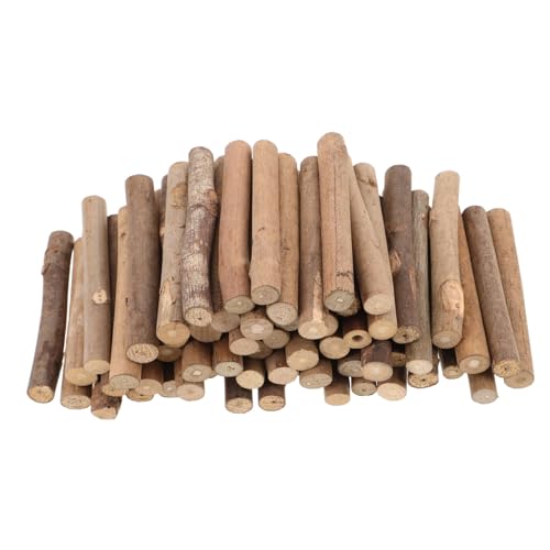 GALPADA 100 Stück Natürliche Mini Holzstäbchen für DIY Bastelprojekte Rustikaler Holzstab als Vase Füller Fotorequisiten und Bauernhaus Dekoration von GALPADA
