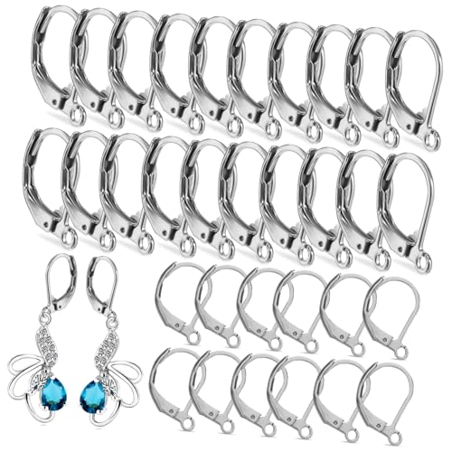 GALPADA 100 Stück Ohrhaken mit Hebelverschluss für DIY Schmuckherstellung Rostfrei Nickelfrei Langlebig Geeignet für Perlen und Anhänger als für Damen und Bastler von GALPADA