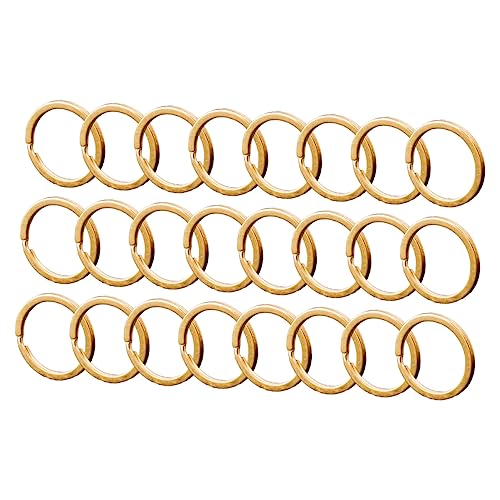 GALPADA 100 Stück Runde Schlüsselringe Robuste Metall Schlüsselanhänger für Diy Projekte für Schlüssel Bastelarbeiten und Sicherer Halt ohne Verlust von GALPADA