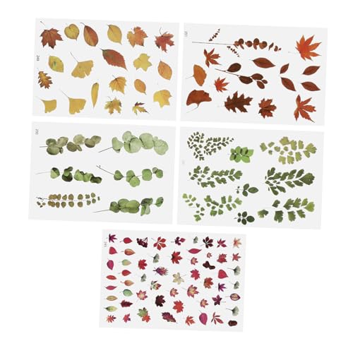 GALPADA 5 Stück Teiliges DIY Epoxidharz Füllmaterial Transparente Blumen Aufkleber für Schmuckherstellung Scrapbooking Geschenkdekoration Langlebig Hautfreundlich Vielseitig Einsetzbar GALPADA 5 Stück Teiliges DIY Epoxidharz Füllmaterial Transparente Blumen Aufkleber für Schmuckherstellung Scrapbooking Geschenkdekoration Langlebig Hautfreundlich Vielseitig Einsetzbar von GALPADA