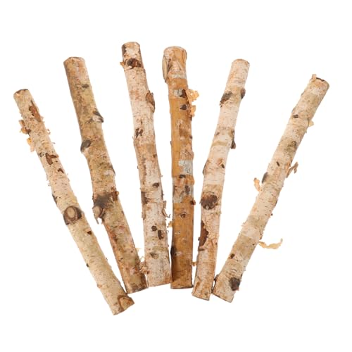 GALPADA 6 Stück Birkenstäbchen Treibholz dekorative Baumstämme Zweig Bastelstangen Handwerk dekoration holzstäbe holzstäbchen blumenstecker Kleiner Baumstamm Bastelstöcke aus Holz hölzern GALPADA 6 Stück Birkenstäbchen Treibholz dekorative Baumstämme Zweig Bastelstangen Handwerk dekoration holzstäbe holzstäbchen blumenstecker Kleiner Baumstamm Bastelstöcke aus Holz hölzern von GALPADA