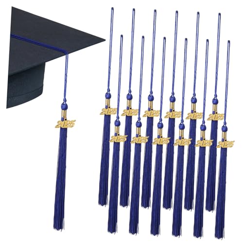 GANAZONO 12 Stück Bachelor-Kappe klein Abschlusshut Quasten Abschlussquaste 2025 Gold große Quasten Abschluss Quaste Ornament Quastendekoration Abschluss Requisiten Rayon Blau GANAZONO 12 Stück Bachelor-Kappe klein Abschlusshut Quasten Abschlussquaste 2025 Gold große Quasten Abschluss Quaste Ornament Quastendekoration Abschluss Requisiten Rayon Blau von GANAZONO