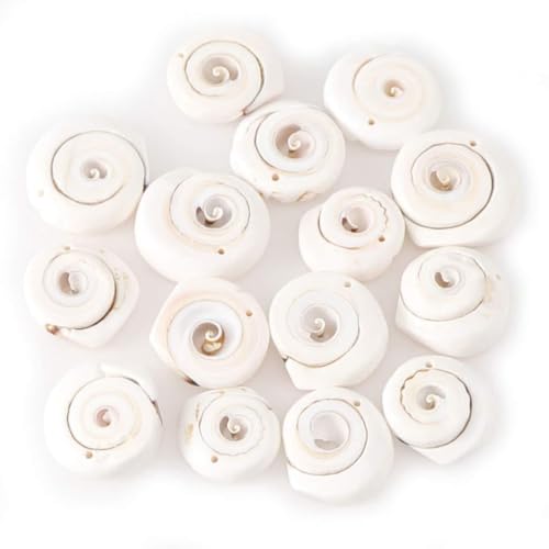 100 Stück gemischte weiße Muschelperlen, flach, groß, natürliche Perlen mit Löchern, Schmuck, Bastelzubehör von GAOFESA