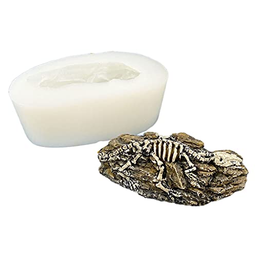 Dinosaurier Fossilien Kiesel Gel Schimmelpilze Candy Box Home Tischdekoration Elegante Wohnkultur Für Kommode Wohnzimmer von GAOFESA