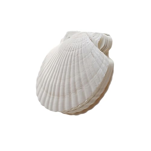 GAOFESA Nachfüllbares Notizbuch, natürliche Muschelform, Ordner, Planer, Tagebuch, Notizblöcke für kreative Geister und Naturstile, Schreiben, Reisetagebuch von GAOFESA