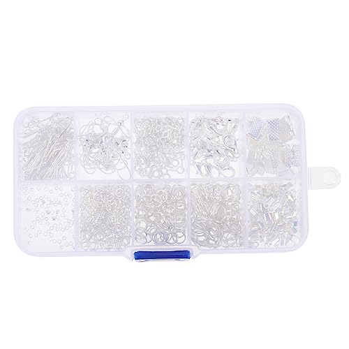 GARIOUANS 1 Schachtel Earring Hooks DIY Schmuckzubehör Ohrschmuck Material Fach Ohrclips Ohrhaken Basteln Ohrringe Sicherer Halt für Selbermachen und Geschenkideen von GARIOUANS