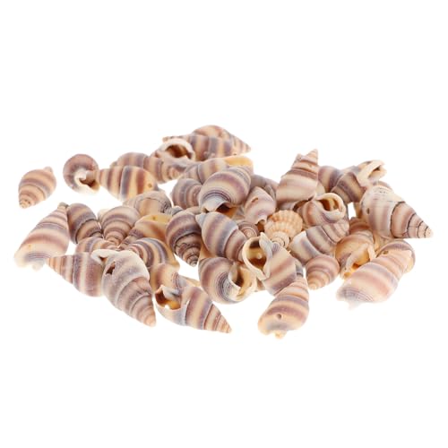 GARIOUANS 100 Stück Natürliche Muschel Anhänger Beads für Diy Schmuckherstellung Armbänder Ohrringe und Küsten Dekorationen Handgefertigt für Strand Themenprojekte GARIOUANS 100 Stück Natürliche Muschel Anhänger Beads für Diy Schmuckherstellung Armbänder Ohrringe und Küsten Dekorationen Handgefertigt für Strand Themenprojekte von GARIOUANS