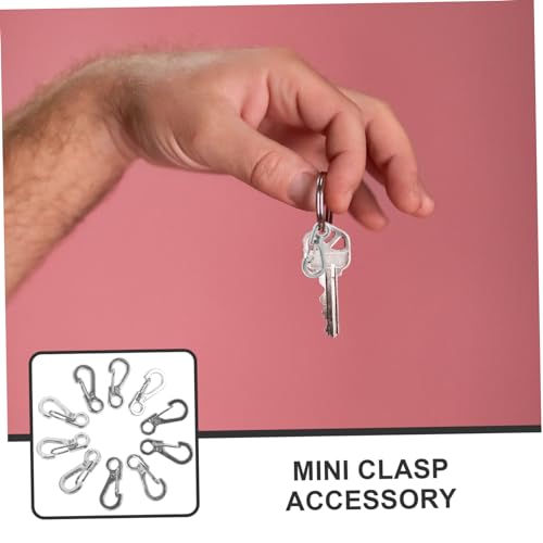 GARIOUANS 20 Stück Teiliges Mini Karabiner Clips aus Rostfreiem Zinklegierung Kleine Schnellverschluss Karabinerhaken mit Federverschluss Langlebig Leicht für Schmuckzubehör und Outdoor von GARIOUANS