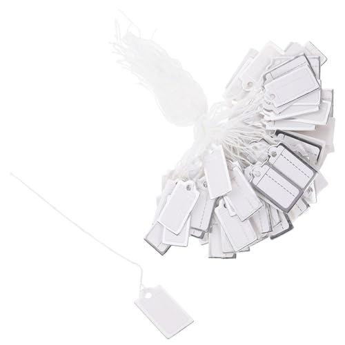 GARIOUANS 200 Stück Preisetiketten für Schmuck Hängende Etiketten für Preislabels für Kleidung und Schmuckdisplay aus Strapazierfähigem Papiermaterial Pack mit Silberfaden von GARIOUANS