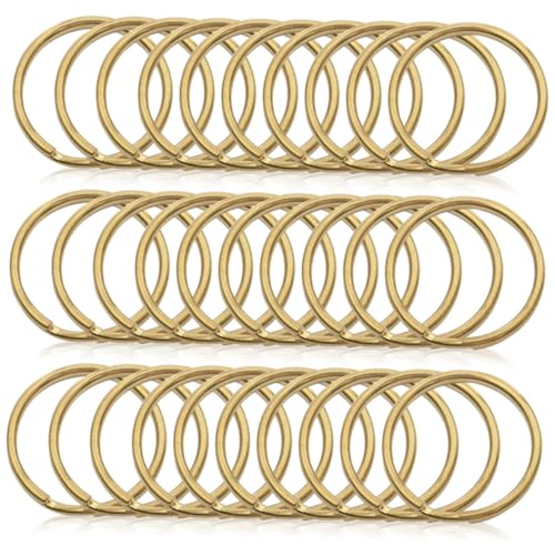 GARIOUANS 200 Stück Retro Stil Schlüsselringe Eisen Schlüsselanhänger Ringe Verbundring Metall Schlüsselbänder für Schlüsselanhänger DIY Zubehör Langlebig und Glatt GARIOUANS 200 Stück Retro Stil Schlüsselringe Eisen Schlüsselanhänger Ringe Verbundring Metall Schlüsselbänder für Schlüsselanhänger DIY Zubehör Langlebig und Glatt von GARIOUANS