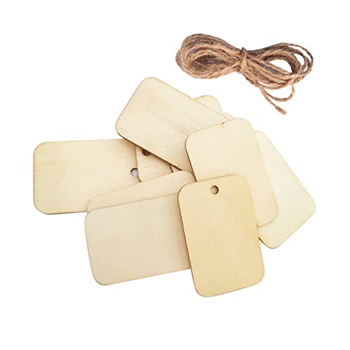 GARIOUANS 250 Stück Holzanhänger mit Hanfseil DIY Hängeetiketten Hochwertigem Naturholz für Hochzeitsdekoration Bastelprojekte Geschenkanhänger und Mehr von GARIOUANS