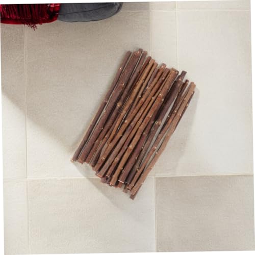 GARIOUANS 50 Stück Getrocknete Birkenzweige Holzstäbchen für DIY Bastelprojekte Rustikale Holzdeko Äste Zweige Naturbelassen für Wohnraumgestaltung und Kreative Handarbeiten GARIOUANS 50 Stück Getrocknete Birkenzweige Holzstäbchen für DIY Bastelprojekte Rustikale Holzdeko Äste Zweige Naturbelassen für Wohnraumgestaltung und Kreative Handarbeiten von GARIOUANS