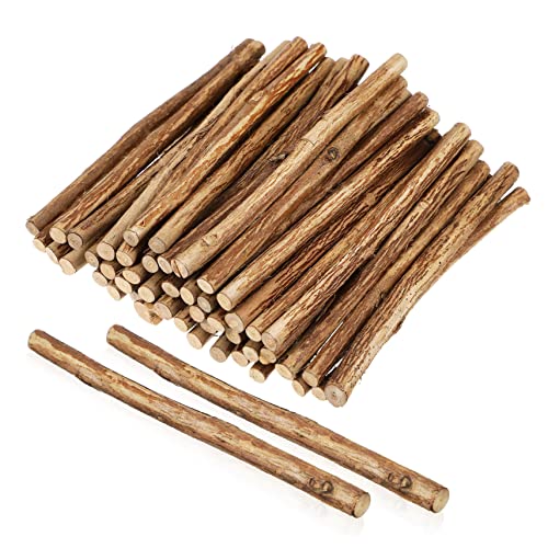 GARIOUANS 50Stücke Holzstöcke Naturholz für Bastelarbeiten DIY Projekte Dekorationen und Kreative Spielzeuge GARIOUANS 50Stücke Holzstöcke Naturholz für Bastelarbeiten DIY Projekte Dekorationen und Kreative Spielzeuge von GARIOUANS