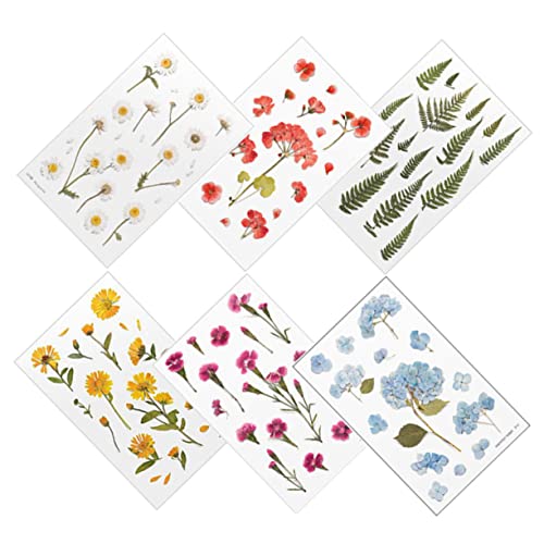 GARIOUANS 6 Blätter Selbstklebende Scrapbook Sticker mit Blumenmotiven Dekorative Aufkleber für Flaschen und Notizbücher Vielseitig für DIY Journaling und Bastelprojekte Zufällige Farbe GARIOUANS 6 Blätter Selbstklebende Scrapbook Sticker mit Blumenmotiven Dekorative Aufkleber für Flaschen und Notizbücher Vielseitig für DIY Journaling und Bastelprojekte Zufällige Farbe von GARIOUANS