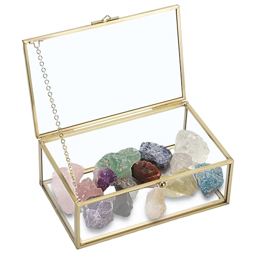 Goldene Vintage Glasbox Hochzeit, Transparente Rechteckige Box 24 x 15 x 8 CM, Schmuckschatulle mit Glasdeckel, Deko Schmuckkasten Schmuckbox Ringbox Geschenkbox Aufbewahrungsboxen Goldene Vintage Glasbox Hochzeit, Transparente Rechteckige Box 24 x 15 x 8 CM, Schmuckschatulle mit Glasdeckel, Deko Schmuckkasten Schmuckbox Ringbox Geschenkbox Aufbewahrungsboxen von GBKDQQ