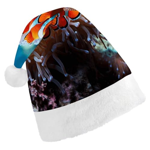 GBNMQED Weihnachtsmütze, Weihnachtsmannmützen für Erwachsene, bequeme Weihnachtsmütze, Clownfisch, bedruckt, Weihnachtsmütze für Neujahr, festliche Party, Weihnachts-Kopfschmuck GBNMQED Weihnachtsmütze, Weihnachtsmannmützen für Erwachsene, bequeme Weihnachtsmütze, Clownfisch, bedruckt, Weihnachtsmütze für Neujahr, festliche Party, Weihnachts-Kopfschmuck von GBNMQED