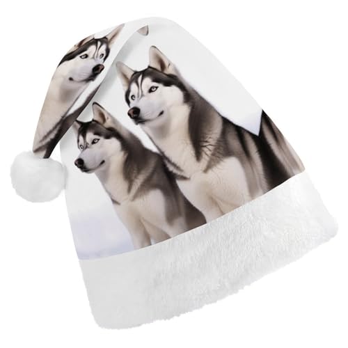 GBNMQED Weihnachtsmütze, Weihnachtsmannmützen für Erwachsene, bequeme Weihnachtsmütze, Husky-Hunde, bedruckt, Weihnachtsmütze für Neujahr, festliche Party, Weihnachts-Kopfschmuck GBNMQED Weihnachtsmütze, Weihnachtsmannmützen für Erwachsene, bequeme Weihnachtsmütze, Husky-Hunde, bedruckt, Weihnachtsmütze für Neujahr, festliche Party, Weihnachts-Kopfschmuck von GBNMQED