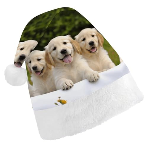 GBNMQED Weihnachtsmütze für Erwachsene, bequeme Weihnachtsmütze, Golden Retriever, Welpen, bedruckt, Weihnachtsmütze für Neujahr, festliche Party, Weihnachts-Kopfschmuck GBNMQED Weihnachtsmütze für Erwachsene, bequeme Weihnachtsmütze, Golden Retriever, Welpen, bedruckt, Weihnachtsmütze für Neujahr, festliche Party, Weihnachts-Kopfschmuck von GBNMQED