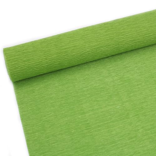 GBSONGLIANGBO Krepppapier,Krepppapier Bunt 10 Rolle 250 * 25cm Farbige Krepp Papier Rolle Origami Gefältelt Handwerk DIY Blumen Dekoration Geschenk Verpackung Papier(Green) von GBSONGLIANGBO