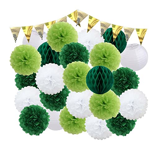 GBSONGLIANGBO Papierlampion,Papierlaternen DIY 2. 5 Teile/Satz Dekor Rosa Hängende Papierhandwerk Junge Mädchen Sommer Party 20 cm Green Pompoment 8 "Laternen(C) von GBSONGLIANGBO