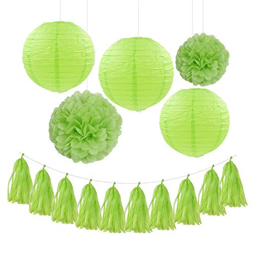 GBSONGLIANGBO Papierlampion,Papierlaternen Hochzeit Geburtstags-Party-Papier DIY. Dekor Set Rosa/Blau/Himmel Blau/Grün Papier Laterne Wabenkugel Pompom Blume Quaste Girlande(Green) von GBSONGLIANGBO