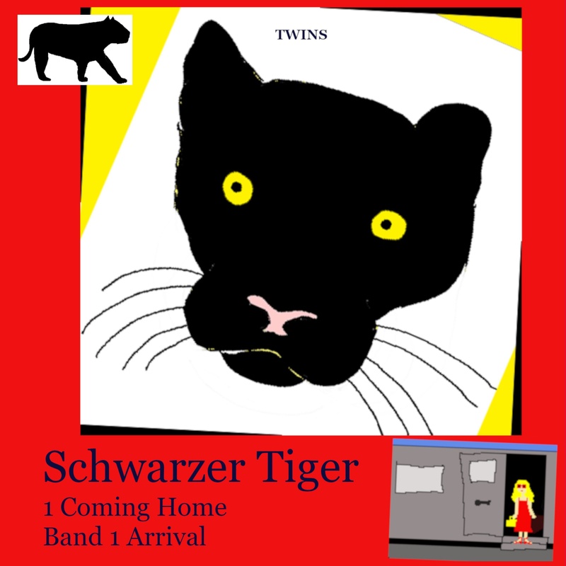 Schwarzer Tiger - Schwarzer Tiger 1 Coming Home - Twins (Hörbuch-Download) von GD Publishing
