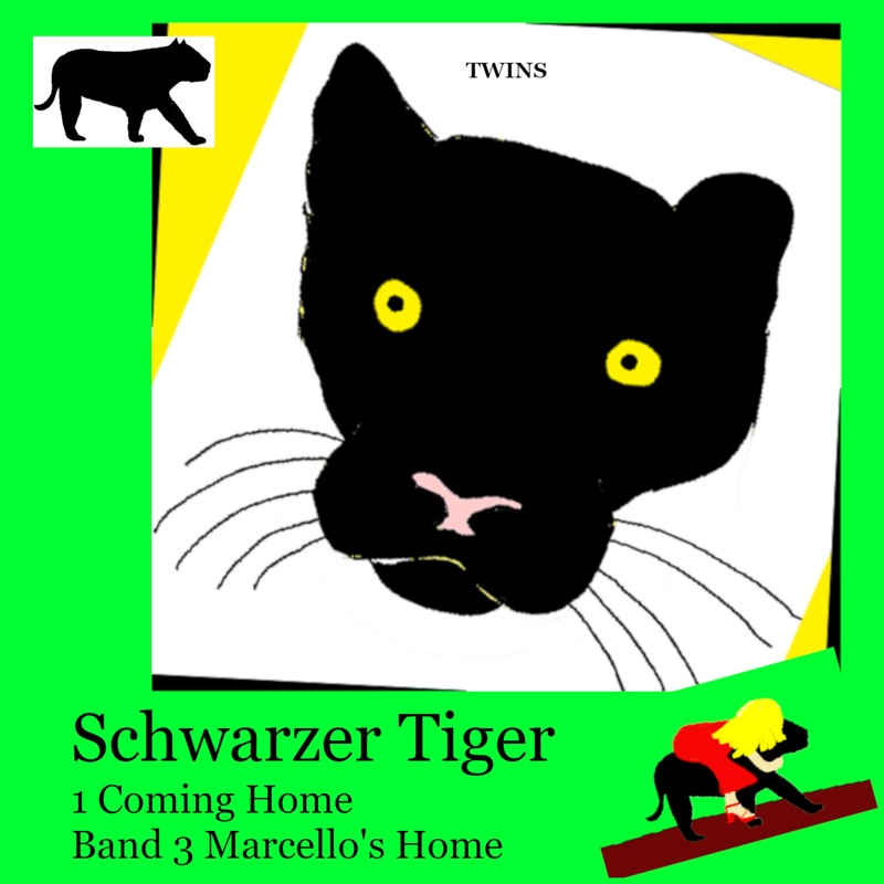 Schwarzer Tiger - Schwarzer Tiger 1 Coming Home - Twins (Hörbuch-Download) von GD Publishing