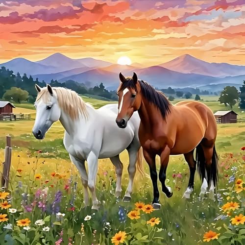 GDYEEH Pferd Diamond Painting Erwachsene, 5D Sonnenuntergang Diamant Kunst Bilder Anfänger, DIY Runder Vollbohrer Grasland Diamanten Malerei Stickerei Kreuzstich Geschenke Home Wand Dekor 30x30 cm GDYEEH Pferd Diamond Painting Erwachsene, 5D Sonnenuntergang Diamant Kunst Bilder Anfänger, DIY Runder Vollbohrer Grasland Diamanten Malerei Stickerei Kreuzstich Geschenke Home Wand Dekor 30x30 cm von GDYEEH