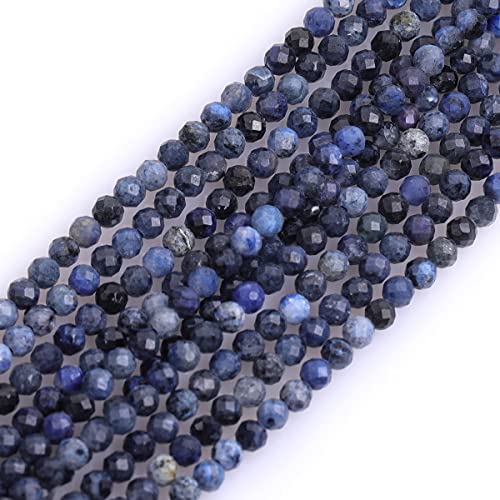 Gem-Inside 3 mm winzige Dumortierit, natürlicher Edelstein, facettiert, rund, Halbedelstein, lose Rocailles, für Schmuckherstellung, 38,1 cm Strang Gem-Inside 3 mm winzige Dumortierit, natürlicher Edelstein, facettiert, rund, Halbedelstein, lose Rocailles, für Schmuckherstellung, 38,1 cm Strang von GEM-INSIDE CREATE YOUR OWN FASHION