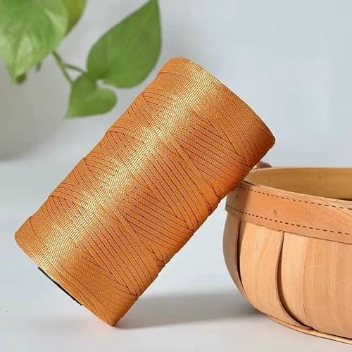 GENPICONG 2,5 mm Eisseidenfaden, Sommer-Häkelgarn für DIY-Stricktaschen, Schuhe, flaches Hohlgarn, handgestricktes Garnzubehör 250 g/Rolle von GENPICONG