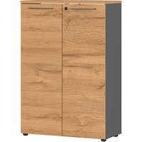 GERMANIA Aktenschrank Agenda Home, 4232-564 grafit, grandson-eiche 2 Fachböden 80,0 x 40,0 x 120,0 cm GERMANIA Aktenschrank Agenda Home, 4232-564 grafit, grandson-eiche 2 Fachböden 80,0 x 40,0 x 120,0 cm von Germania
