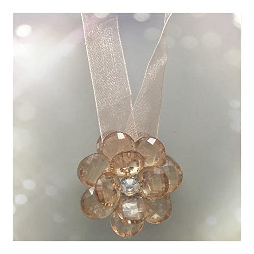 GFDSGRE Vorhang Raffhalter 2 stücke Fensterhalter Tragbare Vorhang Clips Vorhang Schnalle Blume Form Magnetische Raffbacks Vorhänge Fenster Dekor Wohnaccessoires Raffhalter FüR VorhäNge(Coffee) von GFDSGRE