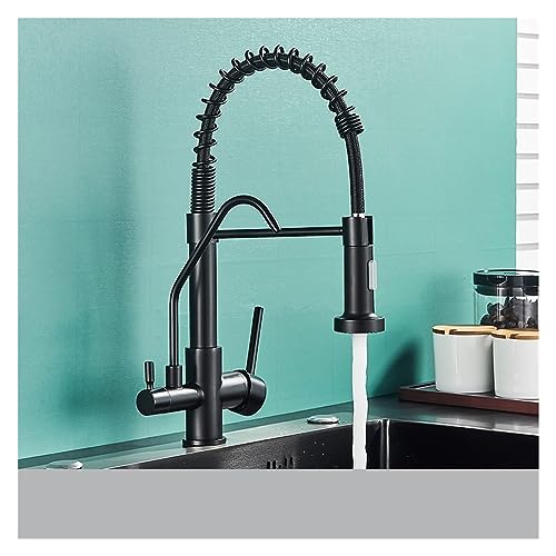 GGYTMQL Mattschwarzer Küchenwasserhahn, Wasserhahn, Luftreiniger, Wasserhahn, Doppelsprüher, Trinkwasserhahn, 360 Grad drehbar, Reinigungsmischer (Typ B, Chrom) von GGYTMQL