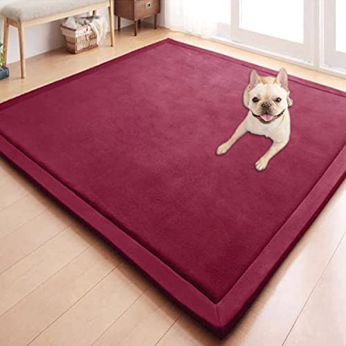 GGoty Korallensamt-Teppich, Baby-Spielmatte für den Boden, rutschfest, Krabbelmatte, großer Teppich für Kinderzimmer, Baby-Haustier, Schlafzimmer, Wohnzimmer (200 x 80 cm, rot) von GGoty
