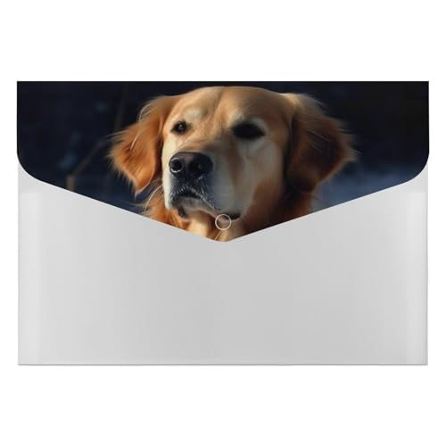 Golden Retriever Akkordeon-Aktenordner, 6 Fächer, Dokumenten-Organizer, Fächermappe mit Etiketten, Reisedokumentenmappen, Kunststoff-Umschläge mit Schnappverschluss, 33 x 23 cm von GHENBLT