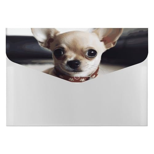 Niedlicher Chihuahua-Akkordeon-Aktenordner mit 6 Fächern, Akkordeon-Ordner mit Etiketten, Reise-Dokumentenmappe, Kunststoff-Umschläge mit Schnappverschluss, 33 x 23 cm Niedlicher Chihuahua-Akkordeon-Aktenordner mit 6 Fächern, Akkordeon-Ordner mit Etiketten, Reise-Dokumentenmappe, Kunststoff-Umschläge mit Schnappverschluss, 33 x 23 cm von GHENBLT
