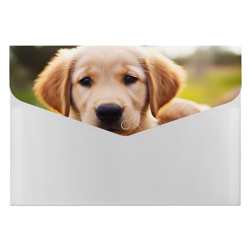 Retriever Akkordeon-Aktenordner mit 6 Fächern, Akkordeon-Ordner mit Etiketten, Reisedokumentenmappe, Kunststoff-Umschläge mit Schnappverschluss, 33 x 23 cm Retriever Akkordeon-Aktenordner mit 6 Fächern, Akkordeon-Ordner mit Etiketten, Reisedokumentenmappe, Kunststoff-Umschläge mit Schnappverschluss, 33 x 23 cm von GHENBLT