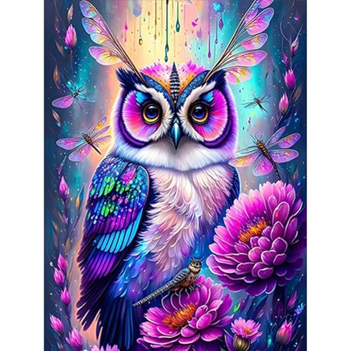 GHHKUD Diamond Painting für Erwachsene, Eule 5D DIY Diamant Painting Bilder für Erwachsene Anfänger, Diamond Painting Set, Full Drill Diamant Malerei für Haus Dekoration 30x40 cm GHHKUD Diamond Painting für Erwachsene, Eule 5D DIY Diamant Painting Bilder für Erwachsene Anfänger, Diamond Painting Set, Full Drill Diamant Malerei für Haus Dekoration 30x40 cm von GHHKUD