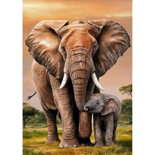 GHHKUD Elefant Diamond Painting für Erwachsene, Tiere 5D Diamant Painting Bilder für Erwachsene Anfänger, DIY Diamond Art Painting Set, Full Drill Diamant Malerei für Dekoration 30x40 CM von GHHKUD