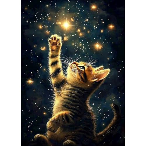 GHHKUD Katze Diamond Painting für Erwachsene, 5D DIY Tiere Diamant Painting Bilder für Erwachsene Anfänger, Diamond Art Painting Set, Full Drill Diamant Malerei für Haus Dekoration 30x40 cm GHHKUD Katze Diamond Painting für Erwachsene, 5D DIY Tiere Diamant Painting Bilder für Erwachsene Anfänger, Diamond Art Painting Set, Full Drill Diamant Malerei für Haus Dekoration 30x40 cm von GHHKUD