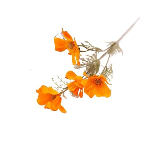 GHHZML Stuhl Deko Hochzeit Stuhlschärpen for Hochzeit, Hotel-Party-Stuhl-Streamer, Hochzeitsbogen-Drapierungsstoff, Stuhl-Dekor-Schärpen, 10 Stück(Orange Flowers) von GHHZML