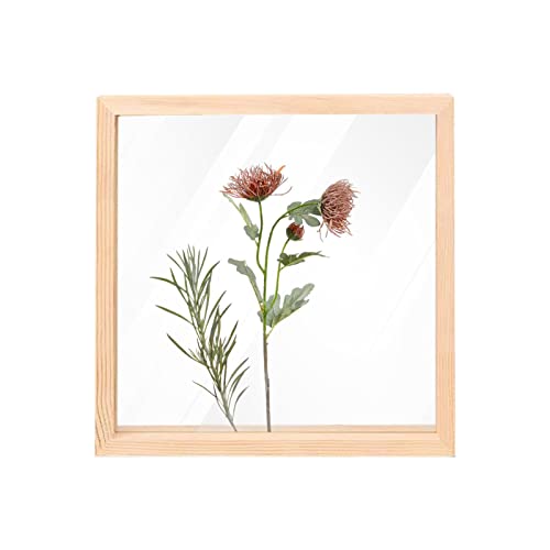 GIMOCOOL Bilderrahmen aus Holz, getrocknete Blumen, Bilderrahmen Fotorahmen Glasrahmen für Gepresste Blumen, Präsentationsständer, dekorativer schwimmender Bilderrahmen, 2 Größen GIMOCOOL Bilderrahmen aus Holz, getrocknete Blumen, Bilderrahmen Fotorahmen Glasrahmen für Gepresste Blumen, Präsentationsständer, dekorativer schwimmender Bilderrahmen, 2 Größen von GIMOCOOL