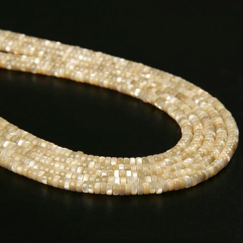 2 x 4,0 mm natürliche Muschelperlen, mehrfarbige Rondellperlen, gefärbte Perlmuttmuschel, lose Abstandsperlen zur Schmuckherstellung, 8, Abstandshalter 2 x 4,0 mm, ca. 36–40 cm von GJUYTD