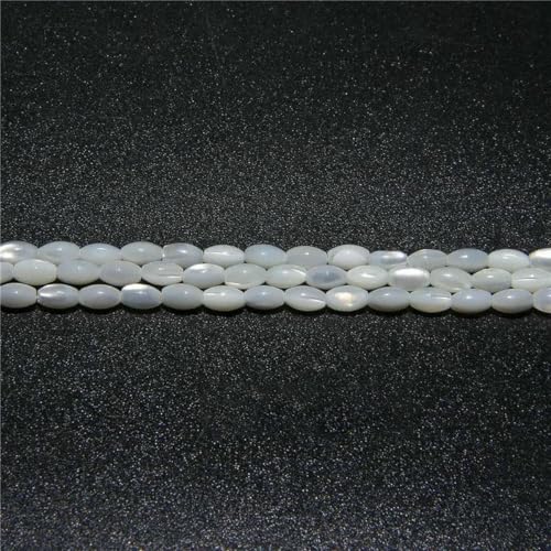 Bunte natürliche Süßwasser-Muschelperlen, Rondelle-Abstandshalter, gefärbte Perlmutt-Muschelperlen, lose Perlen zur Schmuckherstellung, 7,5 Zoll – 40 (3 x 5 mm) von GJUYTD