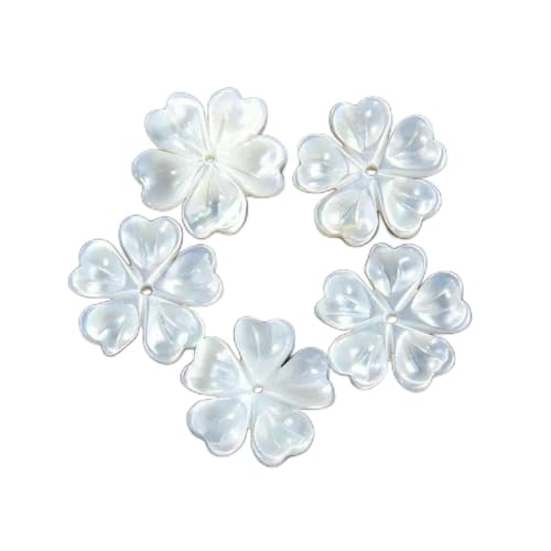 Muschel-Charms, natürlich geschnitzte Perlmutt-Blumenmuschel-Anhänger, Perlen für DIY-Halsketten, Schmuckherstellung, 34 Blumen, 15 mm, 2 Stück Muschel-Charms, natürlich geschnitzte Perlmutt-Blumenmuschel-Anhänger, Perlen für DIY-Halsketten, Schmuckherstellung, 34 Blumen, 15 mm, 2 Stück von GJUYTD